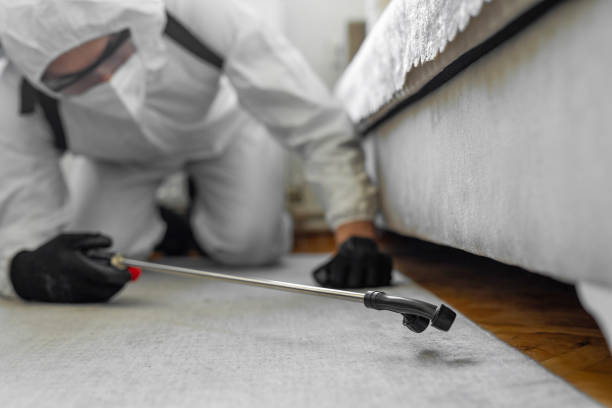 Professional Termite Control technician working in Onset, MA