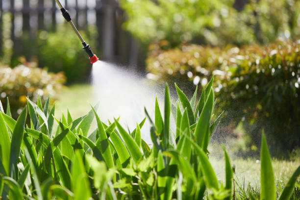 24/7 Emergency Termite Control experts in Onset, MA